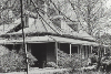 Cover image for Bebeah, Mount Wilson