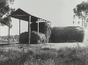 Cover image for Haystacks