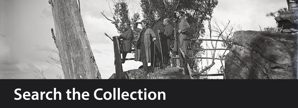 Search the Collection