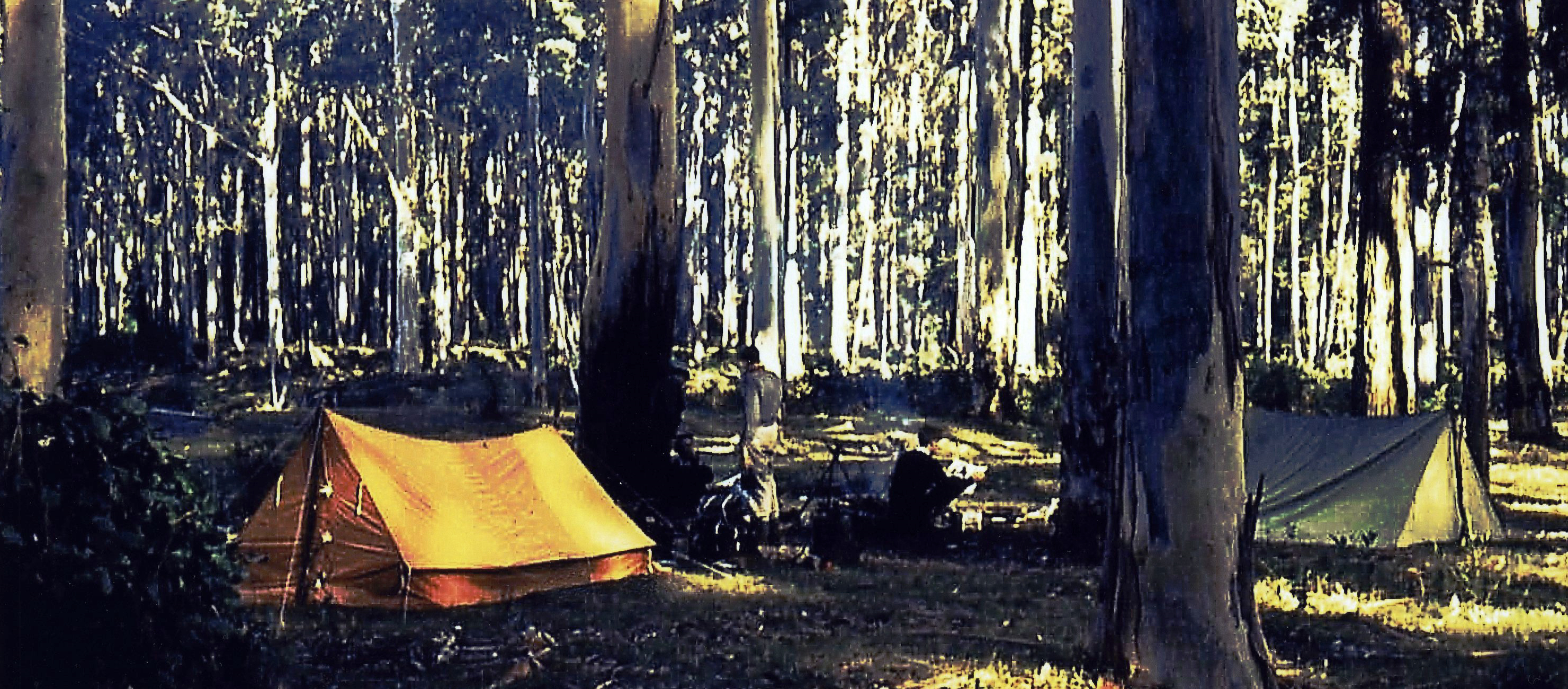 photo of Blue Gum Forest, May 1959, photographer Robert Bicknell