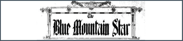 The Blue Mountains Star newspaper banner